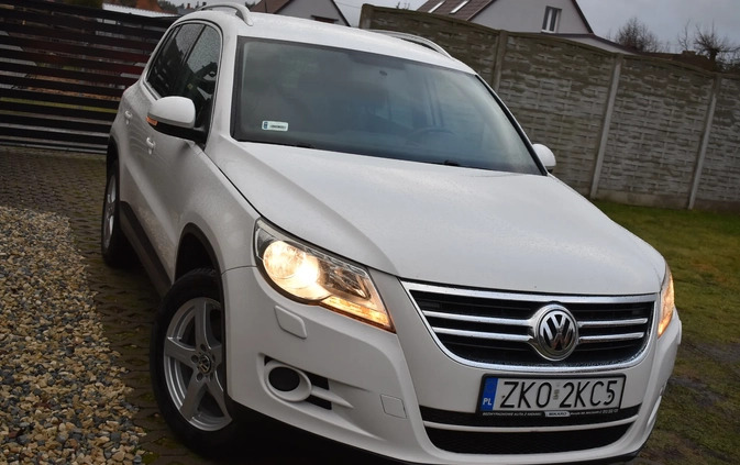 Volkswagen Tiguan cena 36990 przebieg: 171383, rok produkcji 2009 z Białogard małe 301